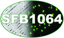 sfb1064_logo_2018_ohne_name